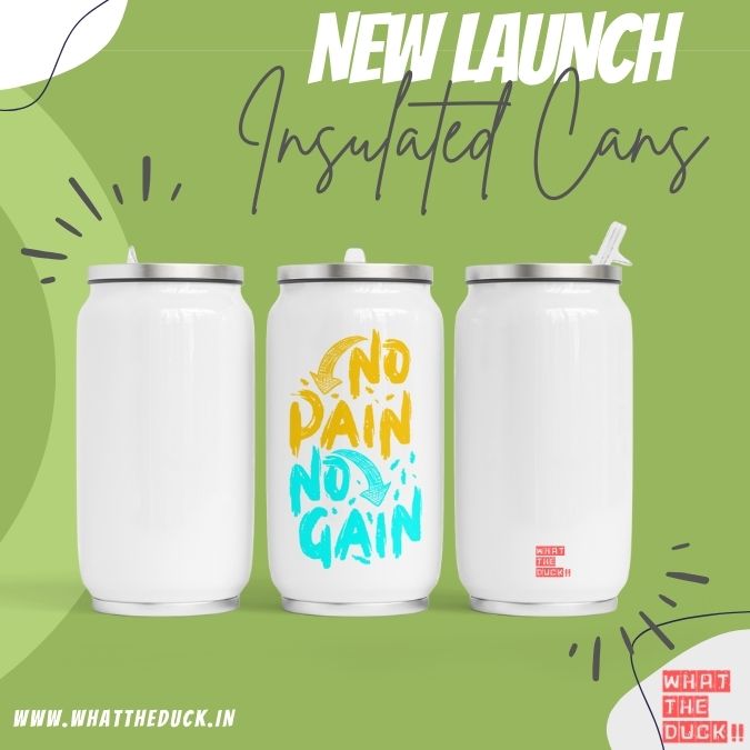 No Pain No Gain insulated can